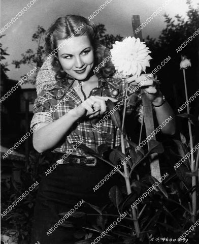Virginia Mayo cutting some flowers in the garden 8201-29