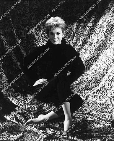 beautiful Kim Novak portrait 8244-22