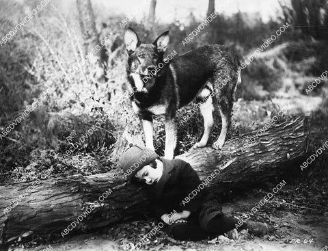 Rin Tin Tin Davey Lee film Frozen River 8244-23