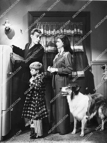 Jon Provost June Lockhart Hugh Reilley TV Lassie 8244-28