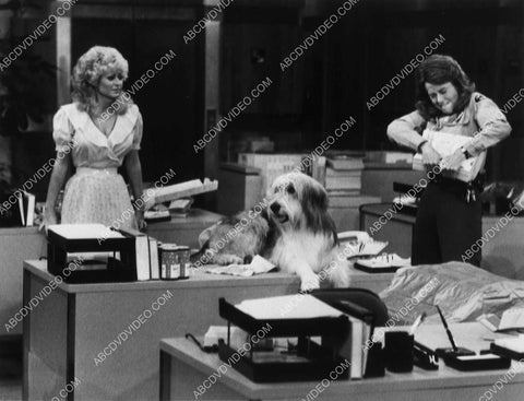 Rachel Dennison Jane Fonda and the dog TV Nine to Five 8484-22