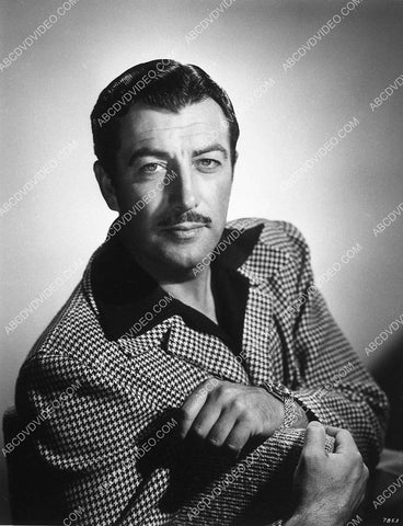 Robert Taylor portrait 8597-19