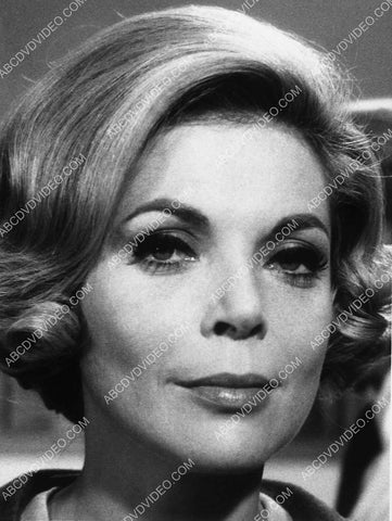 Barbara Bain portrait 8628-27