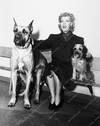 Penny Singleton with dogs 8995-09