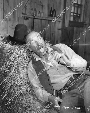 Andy Clyde laying in the hay 8B11-237