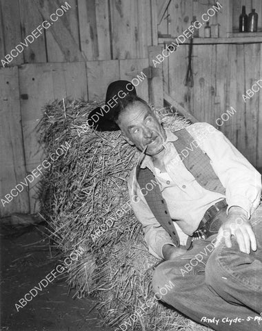 Andy Clyde laying in the hay 8B11-238