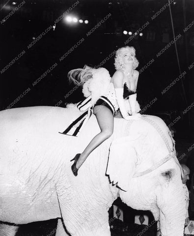 showgirl Marilyn Monroe rides an elephant 8b03-014