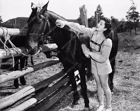 Kathryn Grayson brushes down her horse after nice ride 8b03-092