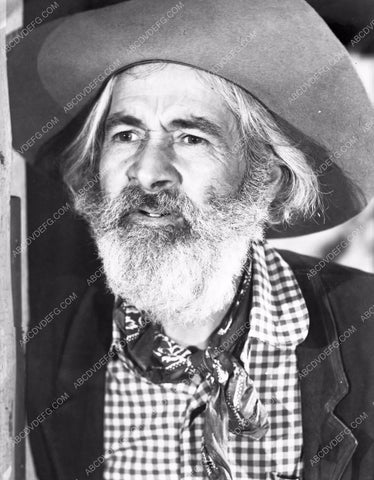 western sidekick Gabby Hayes portrait 8b03-169