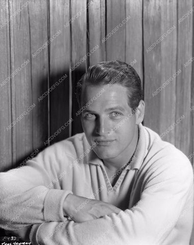 handsome Paul Newman portrait 8b4-105