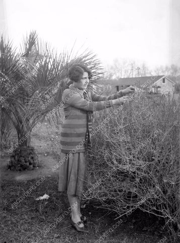 Louella Parsons at the typewriter in Palm Springs 8b4-238