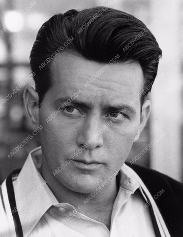 young Martin Sheen portrait 8b4-815