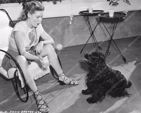 Janis Carter plays ball with Jet neighbors dog Cocker spaniel 8b6-556