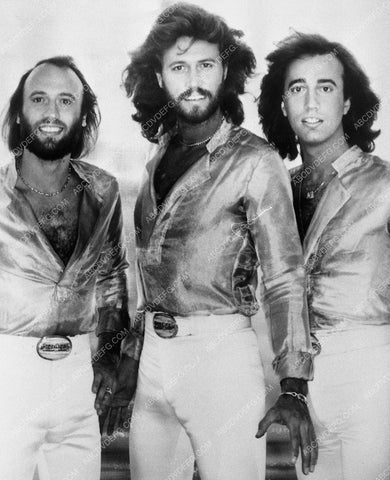 The Bee Gees music group 9057-04