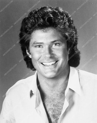 David Hasselhoff portrait 9068-26