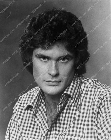 David Hasselhoff portrait 9068-31