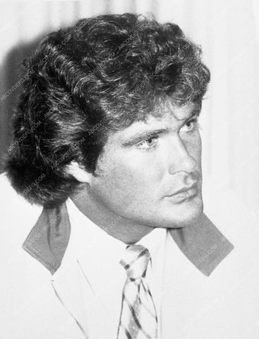 David Hasselhoff portrait 9068-32