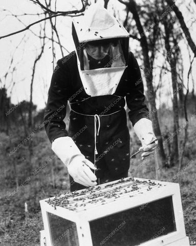 tending the bee hives horror film Bell from Hell 9367-11