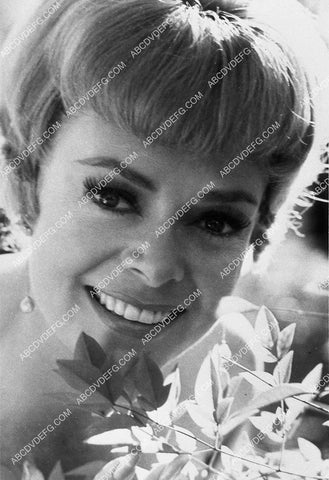 beautiful June Lockhart portrait 9482-22