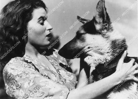 some lady w her German Shepherd dog 9482-31