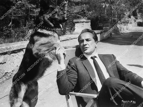 some actor posing w his German Shepherd dog 9482-32