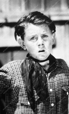 Buzz Barton 9529B-36