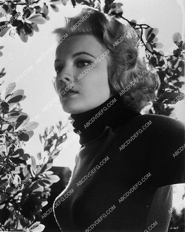 great Gena Rowlands portrait 9890-03