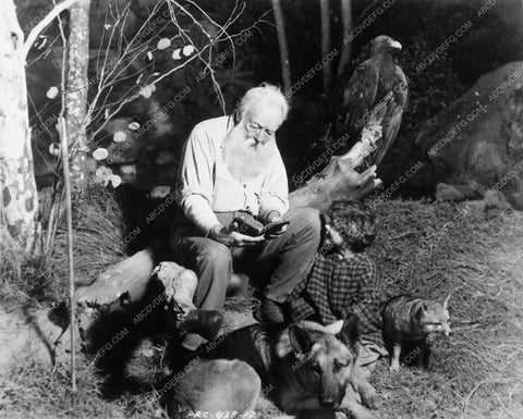 Harry Davenport film Enchanted Forest 9992-21
