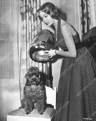 Arlene Dahl gets her dog beautiful a good old fashioned hair dryer 8b20-0040