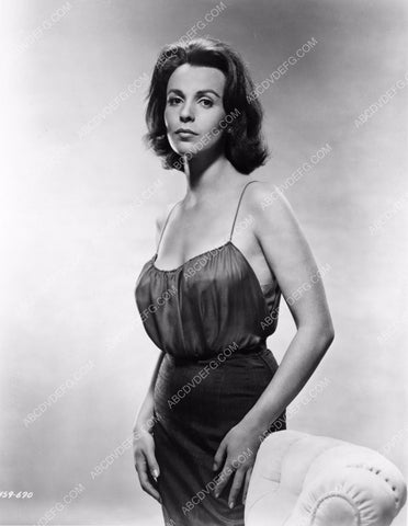 elegant Claire Bloom portrait 8b20-0125