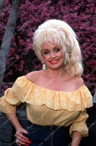 Dolly Parton portrait 8b20-0159