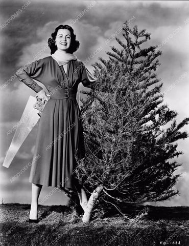 take charge Faith Domergue gets her own Christmas Tree 8b20-0238
