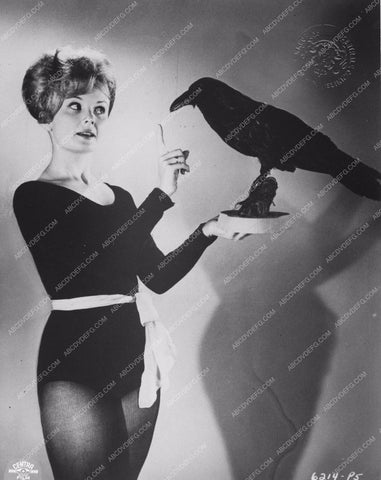 English actress Hazel Court with giant raven 8b20-0276
