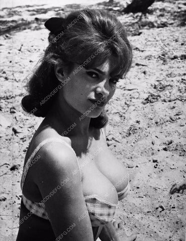 busty babe Sylvia Sorrente in bikini at the beach 8b20-0629