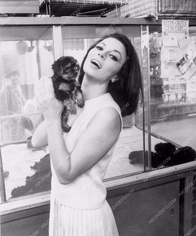 unknown actress and dog 8b20-0651