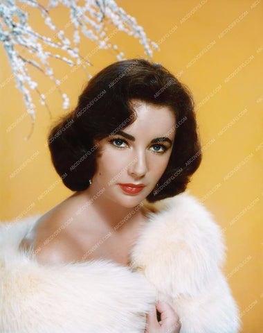 beautiful Elizabeth Taylor portrait 8b20-0981