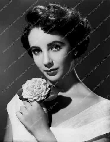 lovely Elizabeth Taylor portrait 8b20-0998