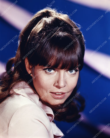 Barbara Feldon agent 99 portrait 8b20-10084