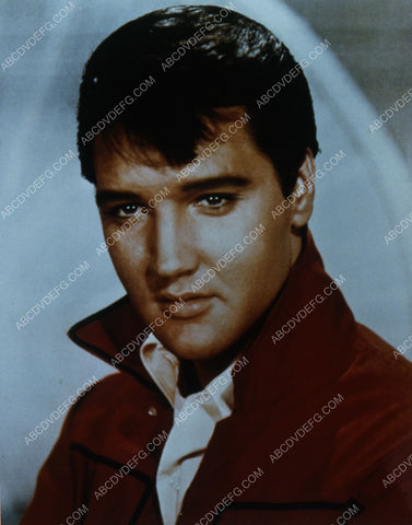 Elvis Presley portrait 8b20-10146