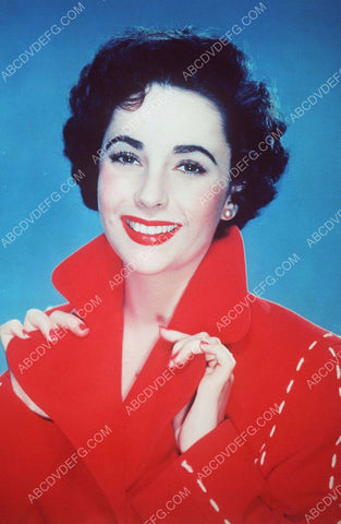 Lovely Elizabeth Taylor portrait 8b20-1028