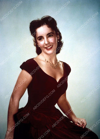 Lovely Elizabeth Taylor portrait 8b20-1030