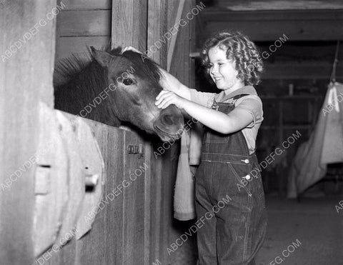 overall clad Shirley Temple feeds her pony 8b20-1049