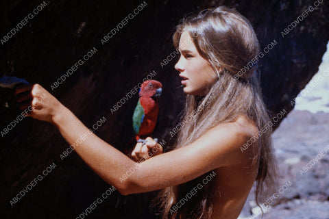 Brooke Shields and a parrot film The Blue Lagoon 8b20-10509