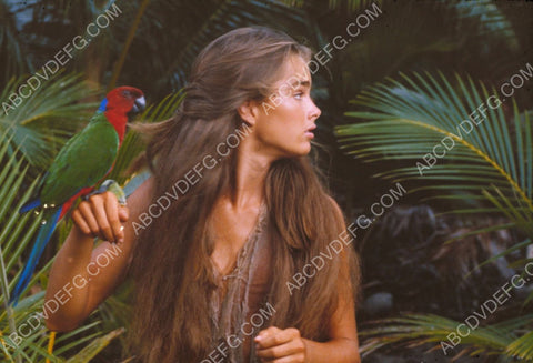 Brooke Shields and a parrot film The Blue Lagoon 8b20-10511