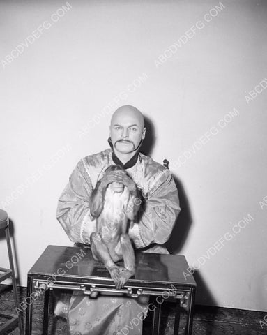 Glen Gordon & monkey TV The Adventures of Dr. Fu Manchu 8b20-10600