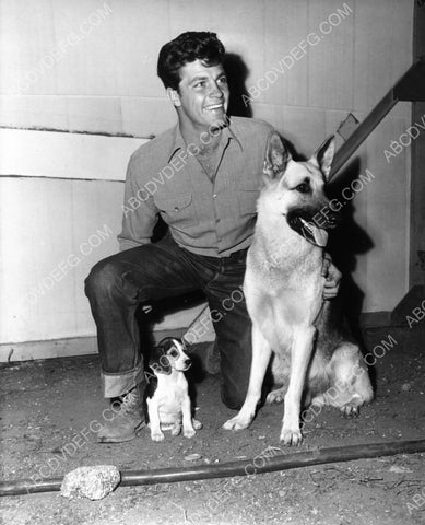 candid Dale Robertson playing with his dogs 8b20-10823