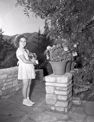 Shirley Temple and her dog in the back yard 8b20-1119