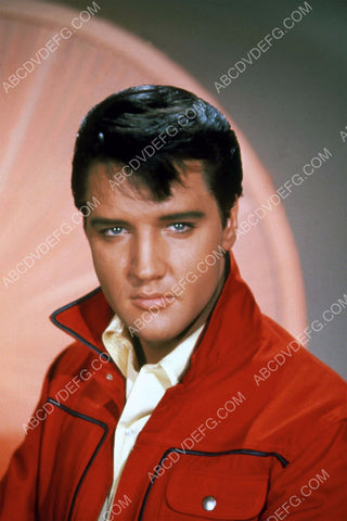 cool Elvis Presley portrait 8b20-11666