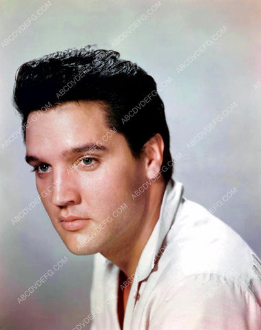 handsome Elvis presley portrait 8b20-11721