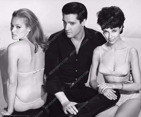 Ursula Andress Elvis Presley Elsa Cardenas film Fun in Acapulco 8b20-11960